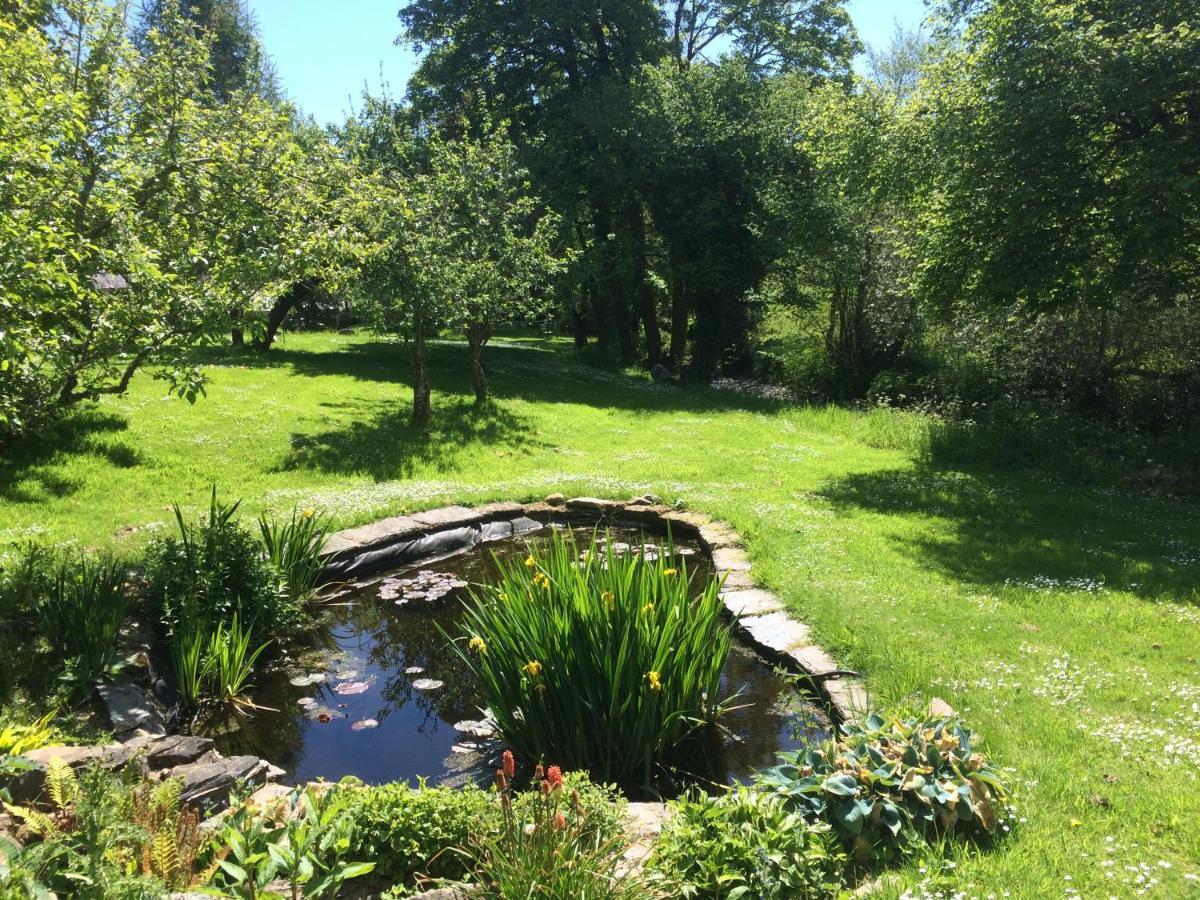 Bow Mill Farm Bed & Breakfast Totnes Exterior photo