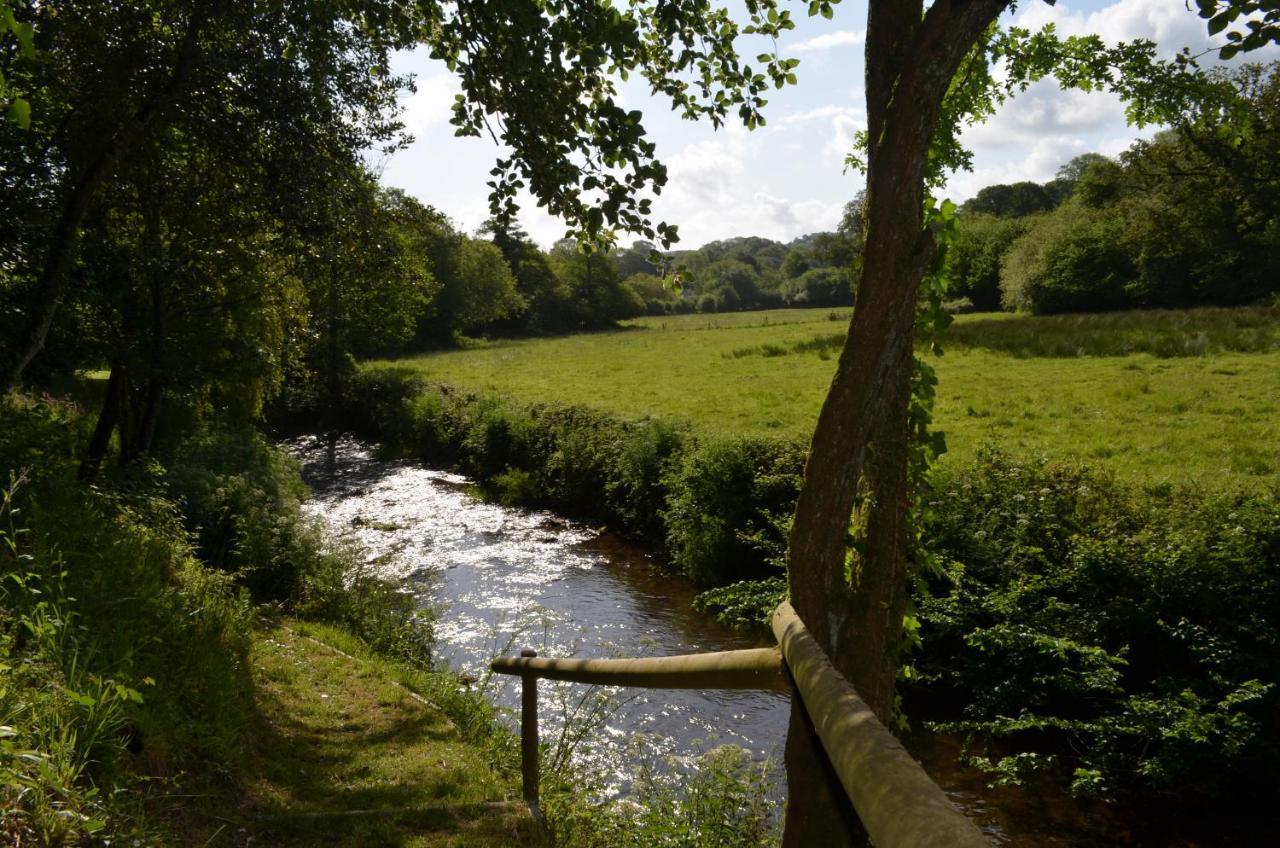 Bow Mill Farm Bed & Breakfast Totnes Exterior photo